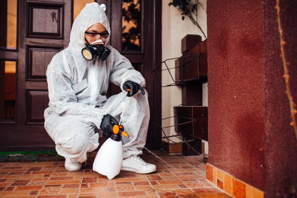 Reliable Bed Bug Control contractor in Carrizozo, NM by Nex Pest Control