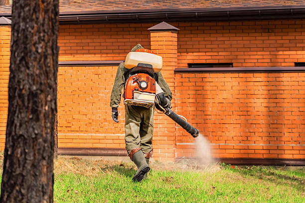 Trusted Termite Control service in Carrizozo, NM - Nex Pest Control